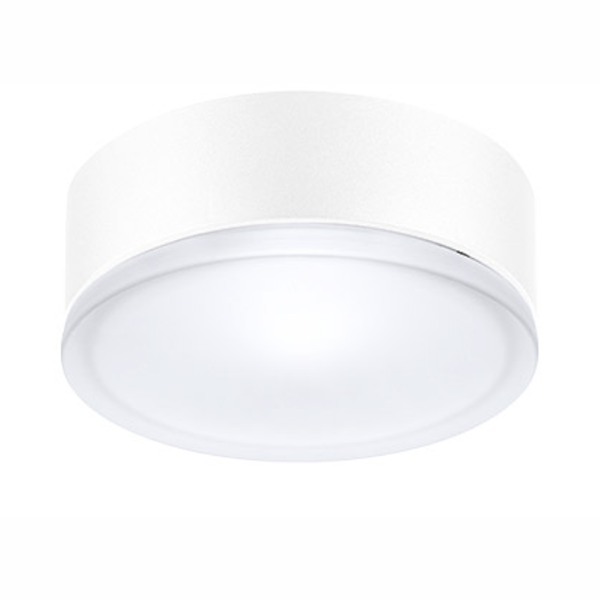 Performace IN Lighting Outdoor Ceiling Light IP55 DROP 22 Model# 004961